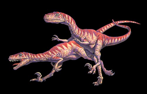 raptoři