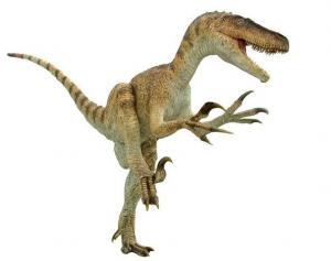 raptor 1