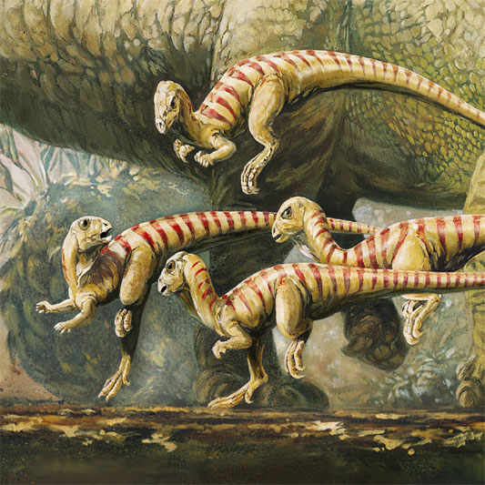 raptoři 1