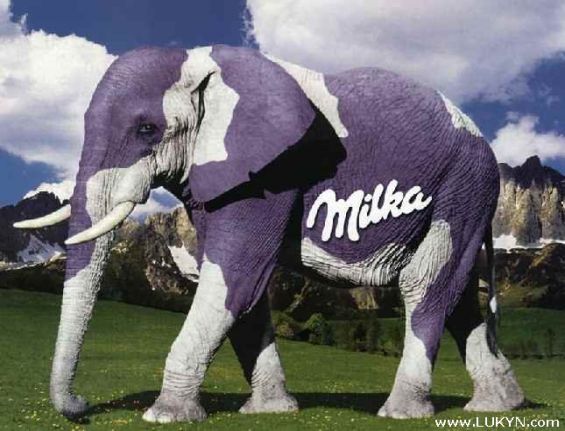slon milka