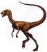 raptor