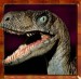 raptor hlava