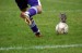 fotbal
